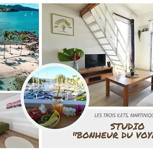 https://studio-idal-couple-200m-de-trs-belles-plages-pointe-du-bout.comcaribbean.com